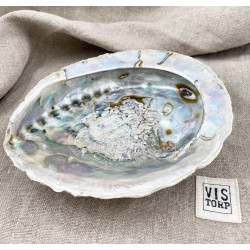 Abalone Shell – Rökelsekar av snäckskal
